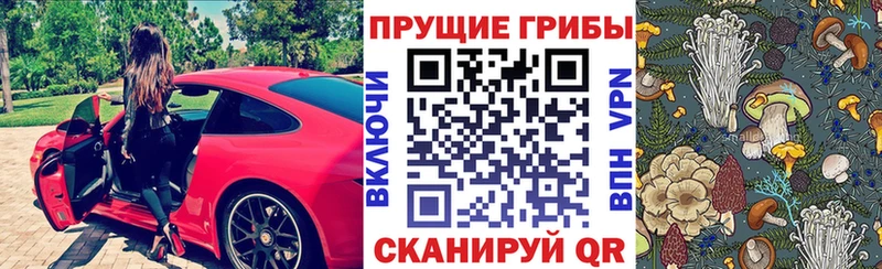 что такое наркотик  Кимовск  Галлюциногенные грибы GOLDEN TEACHER 